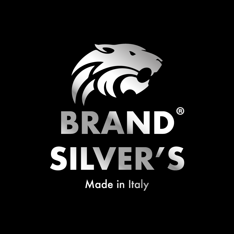 brand silver's logo